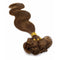 L8 - Medium Ash Brown