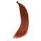 31 - Red Copper