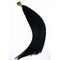 1 - Jet Black