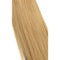 18/22 -Ash Brown / Champagne Blonde