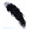 Body Wave / 1