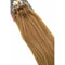 8 - Medium Ash Brown