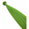 GREEN - Green