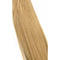 18/22 -Ash Brown / Champagne Blonde