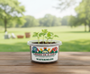 Watermelon Grow Kit | Grow Crimson Sweet Watermelon from Seed | Seeds In A Cup®