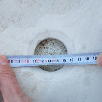 Natural Stone White Limestone Vessel Sink Polished (D)16" (H)6"