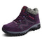 Purple / 35