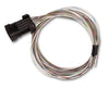 EFI Terminator X Max - LS1/LS624x Crank - 1x Cam - EV6 Injectors - Transmission Control - USB/CAN Tuning Cable