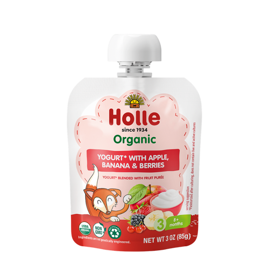 Holle Organic Apple, Banana & Berries Yogurt Pouches